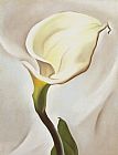 Calla Lily Turned Away 1923